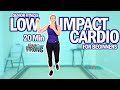 Senior Fitness 20 Min Low Impact Cardio Workout For Beginners 👍👌