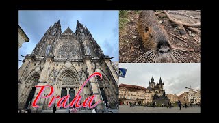 はじめての世界一周　２２　プラハ　Praha　ヨーロッパ