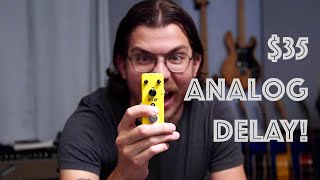 One Mini Delay To Rule Them All! (Rowin Analog Delay Review)