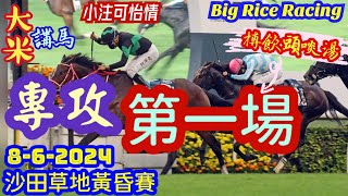 香港賽馬 專攻第一場 8-6-2024 沙田草地黃昏賽 (全場分析拆局，是次策略: WP馬胆一拖二)