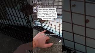 TRAP NEUTER RETURN: showing different traps and how to do it: Spay Neuter!