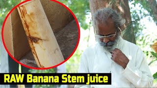 வாழைத்தண்டு ஜூஸ் | Vazhaithandu Juice For Weight Loss And Kidney Stones | Banana stem juice