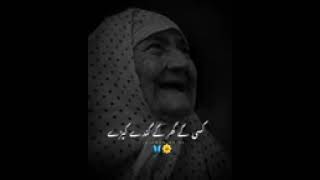 maa most emotional Bayan Saqib Raza mustafai whatsapp status @Firoz Islamic status #shorts #trending