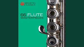 Flute Concerto No. 3 in D Major, RV 428 \