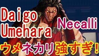 【スト5】SF5- Daigo Umehara(Necalli) Online Test Play 【ウメハラネカリ】