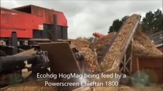 Powerscreen Chieftain 1800 feeding the HogMag Eddy Current Separator (HM ECS-1500) in Wood Recycling