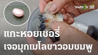 ซื้อหอยเชอรรี่ได้มุกเมโลเจ้าของพร้อมขาย | 02-06-66 | ตะลอนข่าว