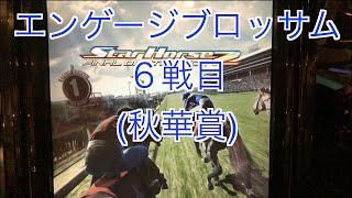 【スターホース２】　ー138頭目ー　エンゲージブロッサム　6戦目(秋華賞)