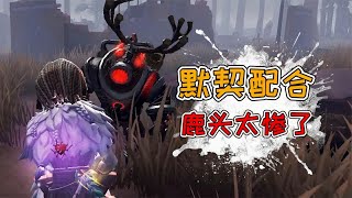 第五人格：野人先知默契配合溜鬼！无缝衔接鹿头被迫换人抓？