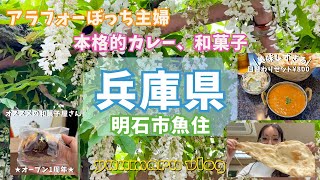 明石市魚住で本格カレー\u0026ナンランチと2023年4月末オープンした和菓子屋さん【ぼっち主婦vlog】