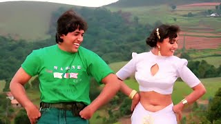 Tumko Dekh Ke Jhoom Gaya-Izzatdaar 1990 Full HD Video Song, Govinda, Madhuri Dixit