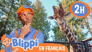 Blippi au zoo - Nourrir les animaux | Blippi en français | Vidéos éducatives pour enfants