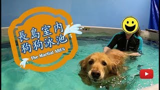 [紐約毛孩] 長島室内狗狗泳池 - The Martial ARFS