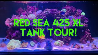 Red Sea Reefer XL 425 Tank Tour \u0026 Neptune Systems Apex!