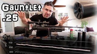 Umarex Gauntlet .25 Regulated PCP Air Rifle (Review) + Accuracy TEST - Airgun Setup GUIDE - DonnyFL