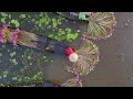 vietnam the most beautiful country in the world complete travel documentary