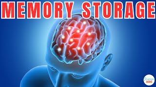 How Does The Brain Store and Retrieve Memories?