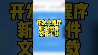 开发小程序新增组件文件下载，轻栈小程序教程