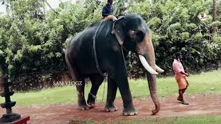 To watch full Video visit *Sam Vlogz* / chirakkal kalidasan / bahubali elephant