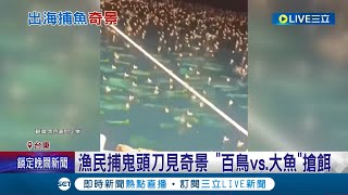 這樣是會釣到鳥還是釣到魚? 漁民捕鬼頭刀見奇景 \