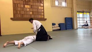 Ed's Shodan test at Tenzan Aikido April 15, 2023