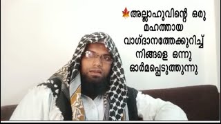 🍁അല്ലാഹുവിന്റെ ഒരു മഹത്തായ വാഗ്ദാനത്തേക്കുറിച്ച് നിങ്ങളെ ഒന്നു ഓർമപ്പെടുത്തുന്നു🎤അബ്ദുൽ റഹ്മാൻ