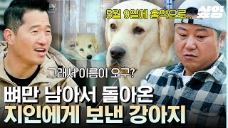 [#고독한훈련사] 지인에게 보냈다가 3주 만에 뼈만 남아 돌아온 나의 반려견😢 언제나 미안한 그 날을 기억하고자 지은 이름🐶 | #샾잉