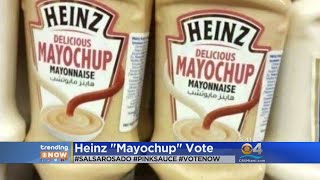 Should Heinz Mayochup Come To America