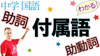 総復習！助詞と助動詞【中学国語まとめ・高校入試】①付属語とは？②助詞と助動詞←見分け方③４種類の助詞←見分け方④助動詞の働き紹介【解説&練習】