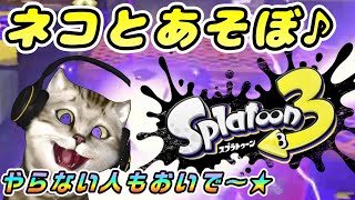 【同時LIVE】猫とスプラ３【YouTube・TikTok・ツイキャス・Twitch】【初心者】 #Splatoon3 #ゲーム実況 #スプラ３