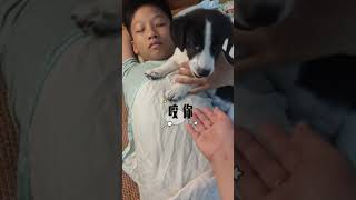 这我的小狗快看啊 狗与小主人 其实狗狗什么都懂 小狗：有哥哥撑腰，我才不听你的狗狗的心思都写在脸上了