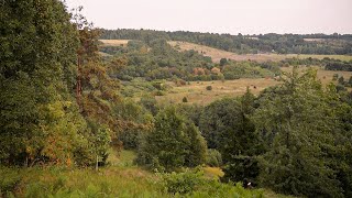 Padubysio pažintinis takas / Padubysio pėsčiųjų trasa / Raguvų takas / Padubysio piliakalnis (2015)