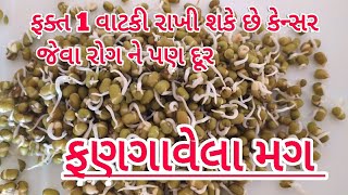 ફણગાવેલા મગ ના અધધધ ફાયદા જાણી જશો તો આજથી જ ખાવા લાગશો