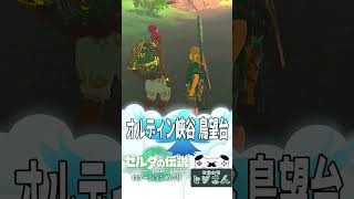 【ティアキンロケーション巡り】#13オルディン峡谷鳥望台【ゼルダの伝説 ティアーズ オブ ザ キングダム】＃shorts