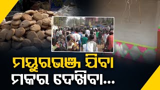 ମୟୁରଭଞ୍ଜ ଯିବା..ମକର ଦେଖିବା...  | Odisha Reporter