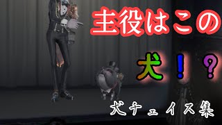 【第五人格】ポストマンの犬チェイス集【IdentityV】【アイデンティティV】