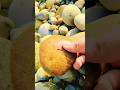 amazing lake superior rocks agate stone hunting 127 #crystalhunting #agatehunting #youtubeshorts