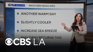 Amber Lee’s NEXT Weather forecast