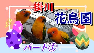 【ふれあえます♪】 掛川花鳥園 【鳥好き必見】