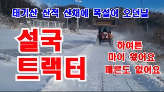 태기산 산적 산채에 폭설이 내리던날 하여튼 마이 왔싸 매른도 없어요# 트랙터 사용법 #폭설#산간오지#태기산폭설#제설트랙터#