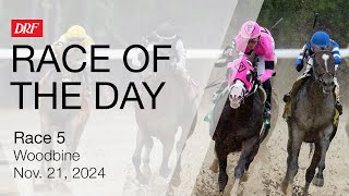 DRF Thursday Race of the Day | Woodbine Race 5 | November 21, 2024