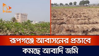 রূপগঞ্জে আবাসনের প্রভাবে কমছে আবাদি জমি | Narayanganj | Rupganj | Agriculture | Nagorik TV