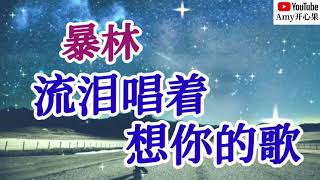 ❤️🎶暴林【流泪唱着想你的歌】🎶❤️