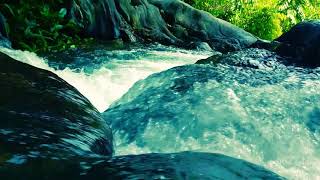 Thirikakkayam Waterfalls