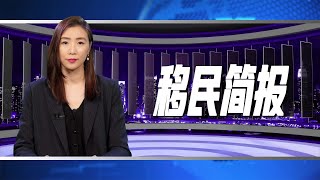 川普与德桑蒂斯试图在移民问题上证明谁更鹰派；《排华法案》100周年：加拿大的百年耻辱；帮助新移民在加拿大茁壮成长的的秘诀 | 移民简报