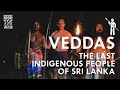 වැද්දන් - The first people of Sri Lanka and last indigenous people of Sri Lanka قبيلة الفيدا #tribe