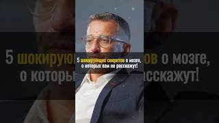 5 шокирующих секретов о мозге, о которых вам не расскажут!