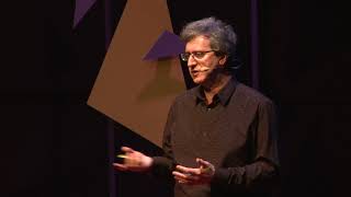 What should we learn for the age of A.I.? Four-Dimensional Education | Charles Fadel | TEDxLausanne