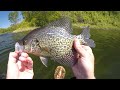 fishing a mimic minnow fry for spring crappie