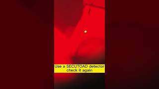 Find hidden camera in hotel's washroom.